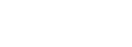 The Well-led Practice Logo